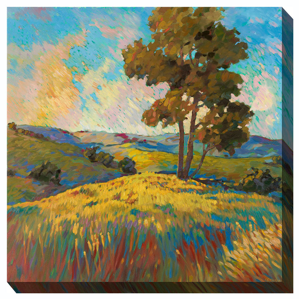 Landscape Outdoor Canvas Art